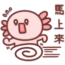 蠑螈仔-聖誕特輯 1