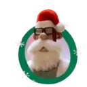 Variad navidad mov 17