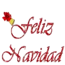 VARIOS NAVIDAD BLANCA AT 25