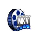 Visualizadores de video 3