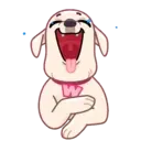 WhiteWind 16