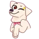 WhiteWind 8