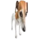 Wubii shitpost pack vol. 2 1