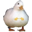 Wubiikekerino shitpost pack 15