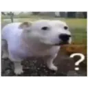 Wubiikekerino shitpost pack 23