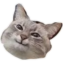 Wubiikekerino shitpost pack 10