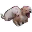 Wubiikekerino shitpost pack 3