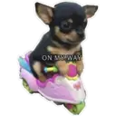 Wubiikekerino shitpost pack 18
