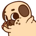 ƿυ૭Նɿ૯ Pug 2 1
