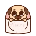 ƿυ૭Նɿ૯ Pug 2 16