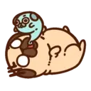 ƿυ૭Նɿ૯ Pug 2 9