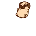 ƿυ૭Նɿ૯ Pug 2 5