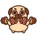 ƿυ૭Նɿ૯ Pug 2 14