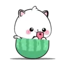 Lovely Vanilla Cat 3 MOV. 1