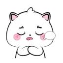 Lovely Vanilla Cat 3 MOV. 14