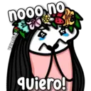 nooo no
valentina
quiero!