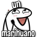 florksito 22