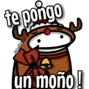 florksito 13