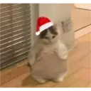 Navidad Random 5