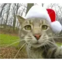 Navidad Random 7