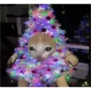 Navidad Random 21