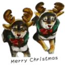 Navidad Random 9
