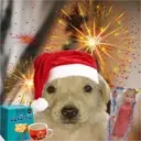 Navidad Random 20