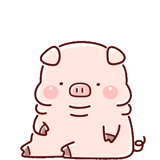 Cute little pig 5