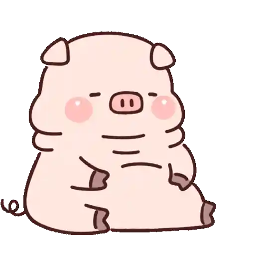 Cute little pig 11