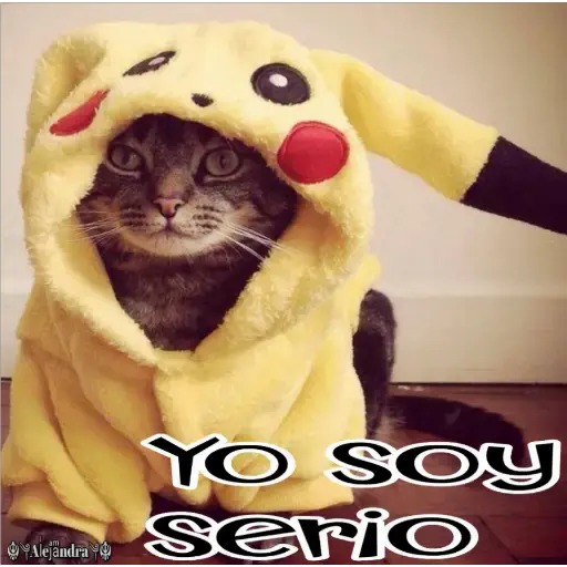 🧿Gatos fraseables 🐱🐈 18