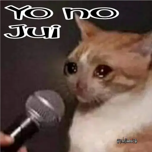 🧿Gatos fraseables 🐱🐈 29
