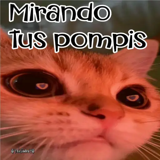 🧿Gatos fraseables 🐱🐈 5