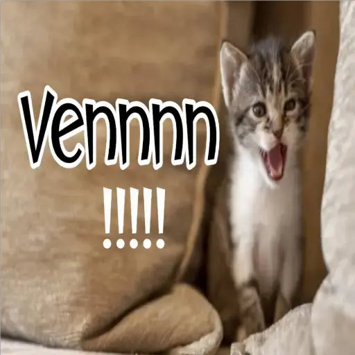 🧿Gatos fraseables 🐱🐈 27