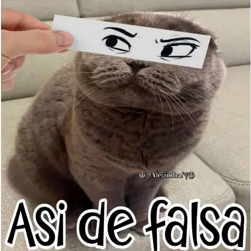 🧿Gatos fraseables 🐱🐈 14