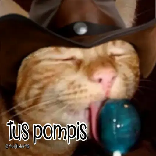 🧿Gatos fraseables 🐱🐈 8