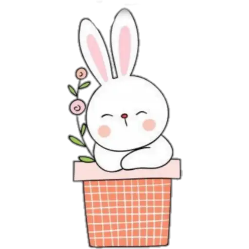 Animalitos Tiernos ✺4🇻🇪 12