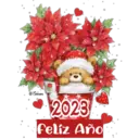 Año nuevo 2023 13