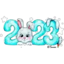 Año nuevo 2023 3