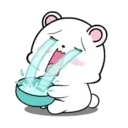 ‍ ️Lovely White Bear 6 MOV. 12