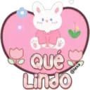 Corazón mensajero 17
