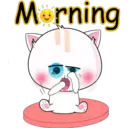 Morning