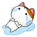 Gojill The Meow 7 .MOV 17