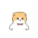 Cat baby lovely?? 24