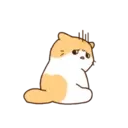 Cat baby lovely?? 20