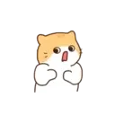 Cat baby lovely?? 22