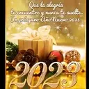 Happy new year mov 11