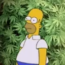 Marijuana 7