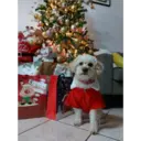 Mi Mejor Amigo 3 4