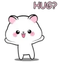 Lovely Hamster MOV. 20