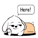 Lovely White Dog 4 .MOV 14